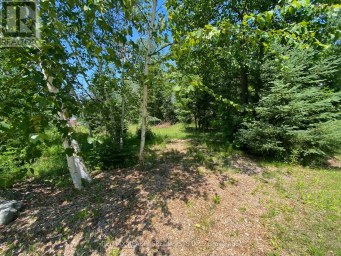 LT12 & 13 OTTER ROAD Kawartha Lakes (Bexley) Ontario photo 11