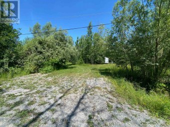 LT12 & 13 OTTER ROAD Kawartha Lakes (Bexley) Ontario photo 12