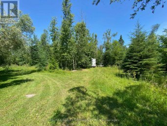 LT12 & 13 OTTER ROAD Kawartha Lakes (Bexley) Ontario photo 14