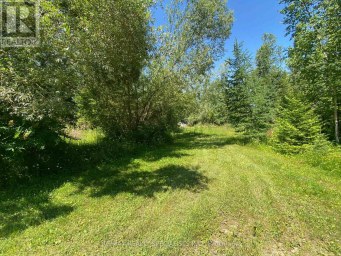 LT12 & 13 OTTER ROAD Kawartha Lakes (Bexley) Ontario photo 15