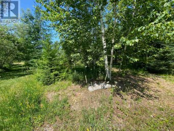 LT12 & 13 OTTER ROAD Kawartha Lakes (Bexley) Ontario photo 4