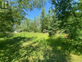 LT12 & 13 OTTER ROAD Kawartha Lakes (Bexley) Ontario photo 8