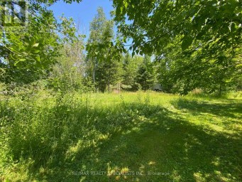 LT12 & 13 OTTER ROAD Kawartha Lakes (Bexley) Ontario photo 9