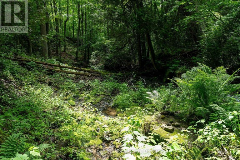 555796 6TH LINE, Blue Mountains, Ontario, N0H2E0