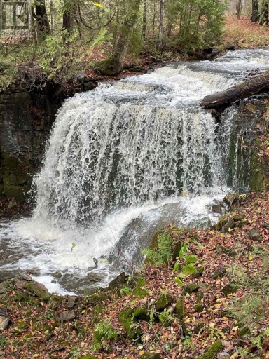 555796 6TH LINE, Blue Mountains, Ontario, N0H2E0