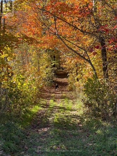 555796 6TH LINE, Blue Mountains, Ontario, N0H2E0