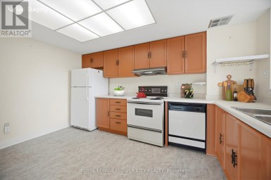 307 - 8 LISA STREET Brampton (Queen Street Corridor) Ontario photo 17