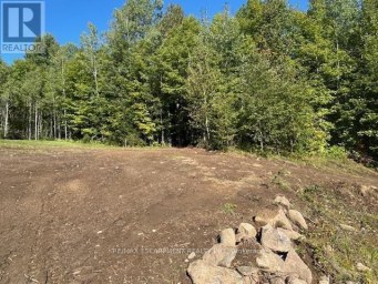 3275 MUSCLOW-GREENVIEW ROAD Hastings Highlands (Monteagle Ward) Ontario photo 13