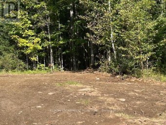 3275 MUSCLOW-GREENVIEW ROAD Hastings Highlands (Monteagle Ward) Ontario photo 14