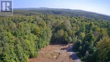 3275 MUSCLOW-GREENVIEW ROAD Hastings Highlands (Monteagle Ward) Ontario photo 2