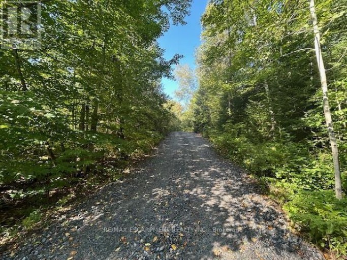 3275 MUSCLOW-GREENVIEW ROAD, Hastings Highlands (Monteagle Ward), Ontario, K0L1C0