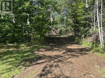 3275 MUSCLOW-GREENVIEW ROAD Hastings Highlands (Monteagle Ward) Ontario photo 27