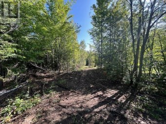 3275 MUSCLOW-GREENVIEW ROAD Hastings Highlands (Monteagle Ward) Ontario photo 29