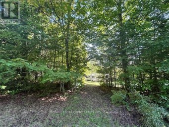 3275 MUSCLOW-GREENVIEW ROAD Hastings Highlands (Monteagle Ward) Ontario photo 30
