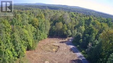 3275 MUSCLOW-GREENVIEW ROAD Hastings Highlands (Monteagle Ward) Ontario photo 4