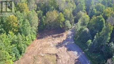 3275 MUSCLOW-GREENVIEW ROAD Hastings Highlands (Monteagle Ward) Ontario photo 5