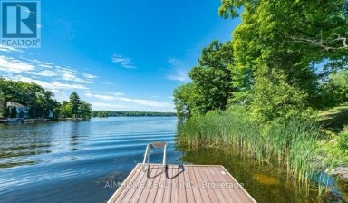 62 FIRE ROUTE 94 Trent Lakes Ontario photo 1