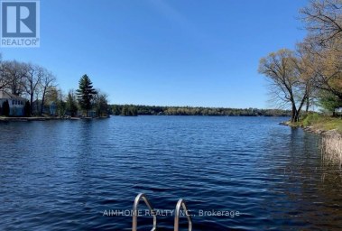 62 FIRE ROUTE 94 Trent Lakes Ontario photo 3