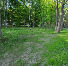 1366 WILSON POINT ROAD Orillia Ontario photo 3