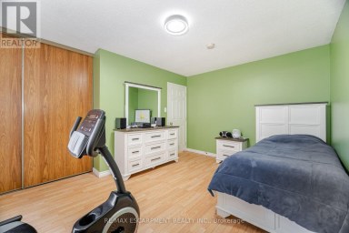 178 ATHENIA DRIVE Hamilton (Stoney Creek) Ontario photo 23