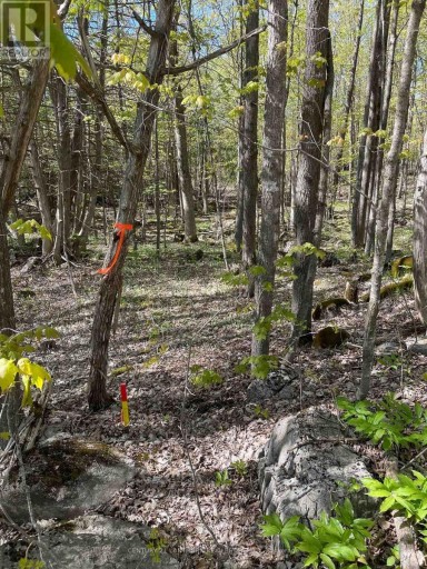 30 LUFFMAN ROAD, Tweed (Hungerford (Twp)), Ontario, K0K2L0