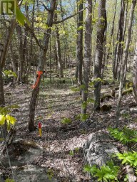30 LUFFMAN ROAD Tweed (Hungerford (Twp)) Ontario photo 3