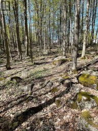 30 LUFFMAN ROAD Tweed (Hungerford (Twp)) Ontario photo 7