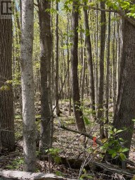 30 LUFFMAN ROAD Tweed (Hungerford (Twp)) Ontario photo 9