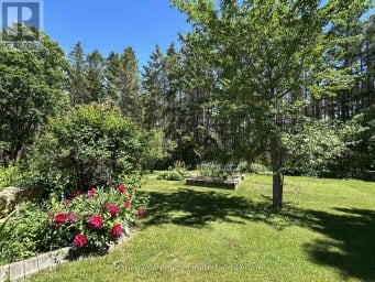 2756 COUNTY ROAD 38 Douro-Dummer Ontario photo 39