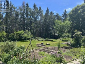 2756 COUNTY ROAD 38 Douro-Dummer Ontario photo 40