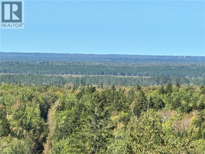 Lots Indian Mountain Road, Indian Mountain, New Brunswick (id Nb147757)