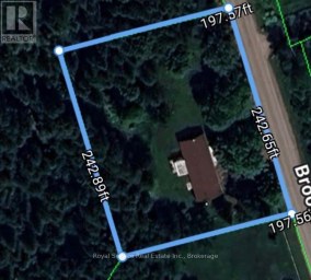 128 BROOMFIELD ROAD Alnwick/Haldimand Ontario photo 39