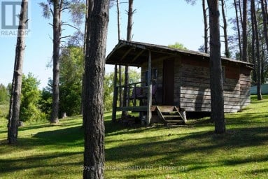 215 FIFTH LINE DUMMER SOUTH ROAD Douro-Dummer Ontario photo 42