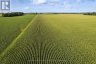 4697 15 LINE, Perth South (downie), Ontario, N4X1C9 (ID X13778728)