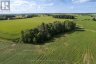 4697 15 LINE, Perth South (downie), Ontario, N4X1C9 (ID X13778728)