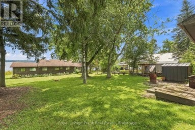 131 BALL POINT ROAD Kawartha Lakes (Little Britain) Ontario photo 42