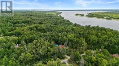 11 BIRCH TERRACE Trent Lakes Ontario photo 33