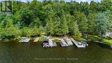 11 BIRCH TERRACE Trent Lakes Ontario photo 34