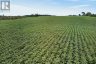 PT LTS 22&23 CONCESSION 14 ROAD, Kincardine, Ontario, N0G2N0 (ID X13779254)