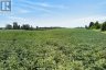 PT LTS 22&23 CONCESSION 14 ROAD, Kincardine, Ontario, N0G2N0 (ID X13779254)