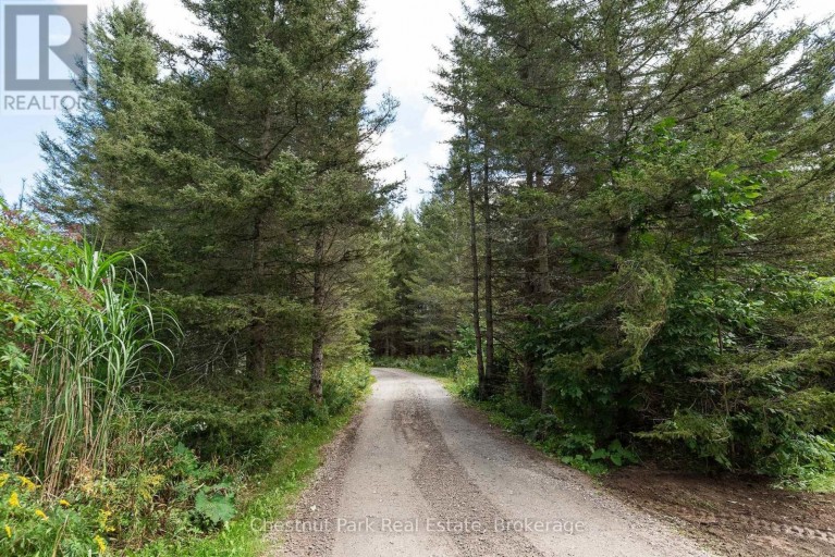 91 CHAPMAN'S LANDING ROAD, Nipissing, Ontario, P0H1W0
