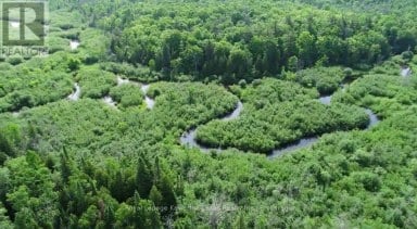 1752 HIGHWAY 35 S Kawartha Lakes (Manvers) Ontario photo 37