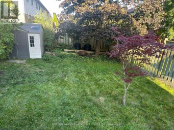 185 MARTINET AVENUE London East (East I) Ontario photo 28