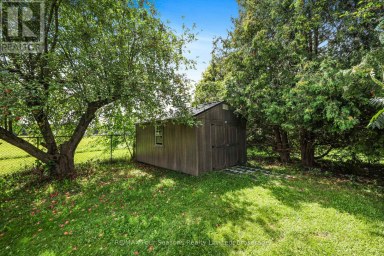 7551 36/37 NOTTAWASAGA SIDE ROAD E Clearview (Nottawa) Ontario photo 45