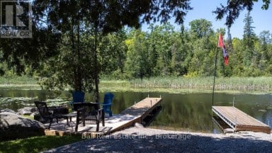 71 GRANTSVILLE TRAIL Trent Lakes Ontario photo 40