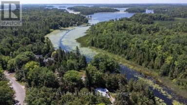 71 GRANTSVILLE TRAIL Trent Lakes Ontario photo 7