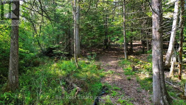 85 FR 19 ROUTE, Havelock-Belmont-Methuen (Belmont-Methuen), Ontario, K0L1Z0