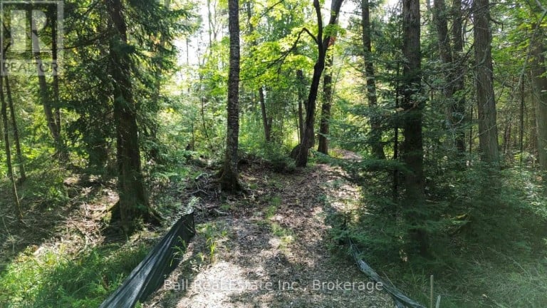 85 FR 19 ROUTE, Havelock-Belmont-Methuen (Belmont-Methuen), Ontario, K0L1Z0