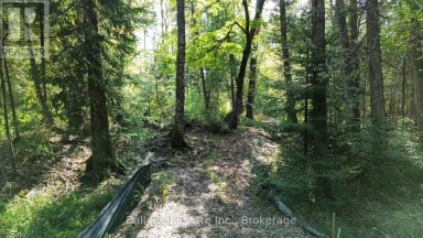 85 FR 19 ROUTE Havelock-Belmont-Methuen (Belmont-Methuen) Ontario photo 11