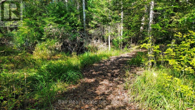 85 FR 19 ROUTE, Havelock-Belmont-Methuen (Belmont-Methuen), Ontario, K0L1Z0
